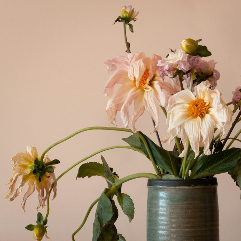 Zeit drängt Graue Vase mit verwelkenden rosa Blumen vor einem neutralen Hintergrund.