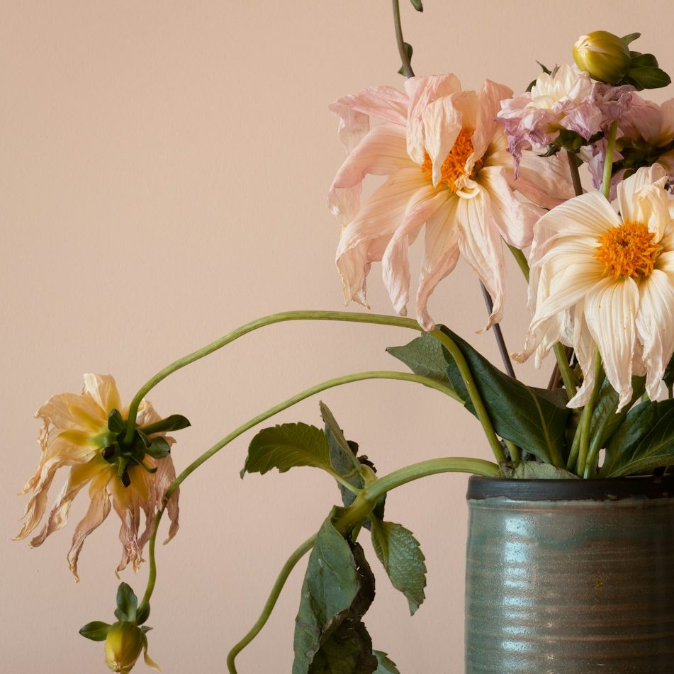 Zeit drängt Graue Vase mit verwelkenden rosa Blumen vor einem neutralen Hintergrund.